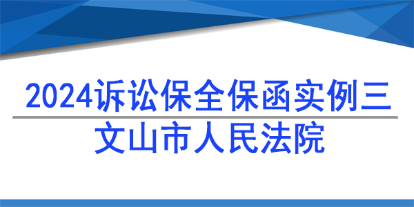 訴訟保全,財(cái)產(chǎn)保全,文山市人民法院
