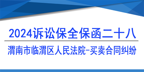 渭南市臨渭區人民法院,訴訟保全,財產保全